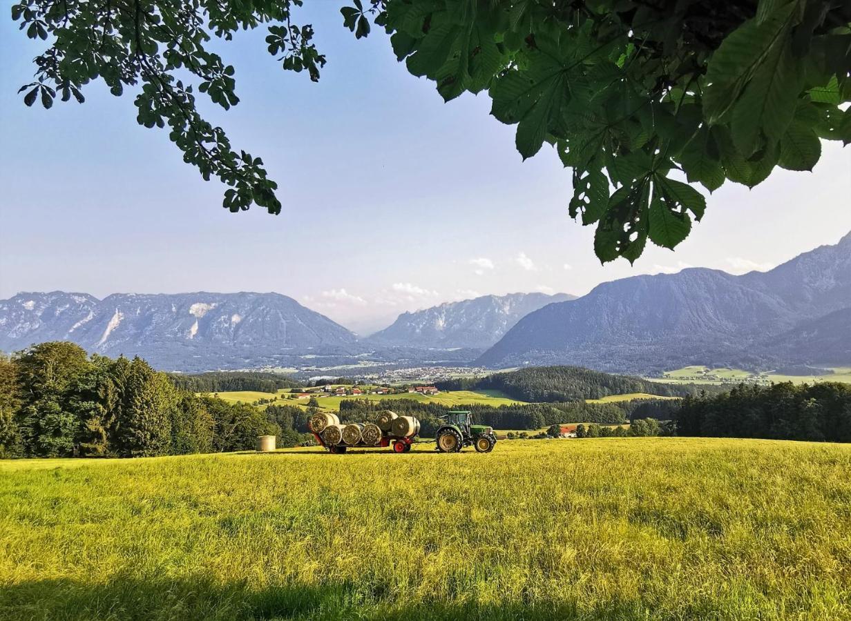 Rosen - * Bad Reichenhall