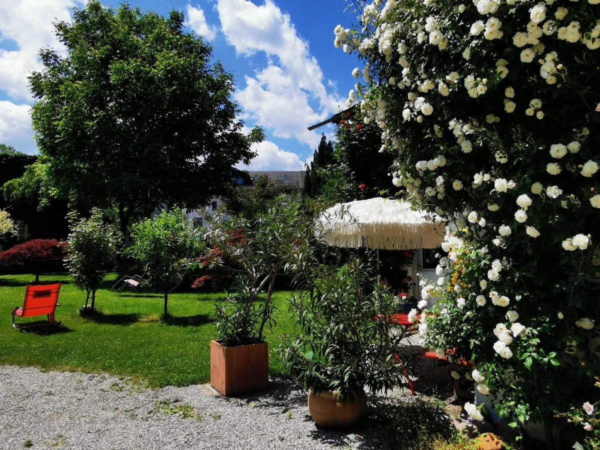 Lejlighed Rosen -