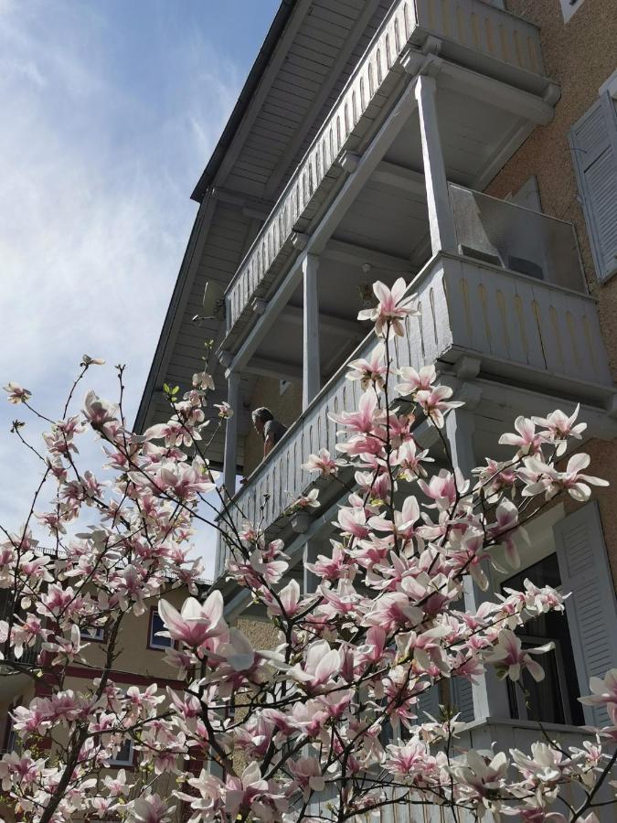 Rosen - Bad Reichenhall